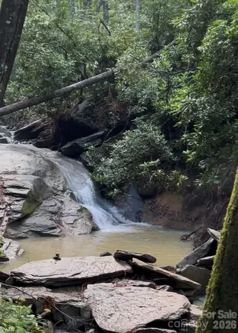 204 Rush Creek Road Black Mountain NC 28711