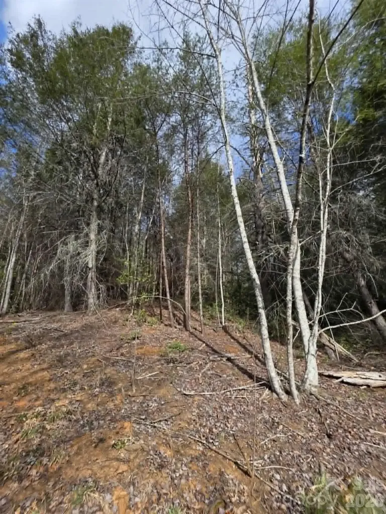 Lot 4 Kerlee Lane Old Fort NC 28762