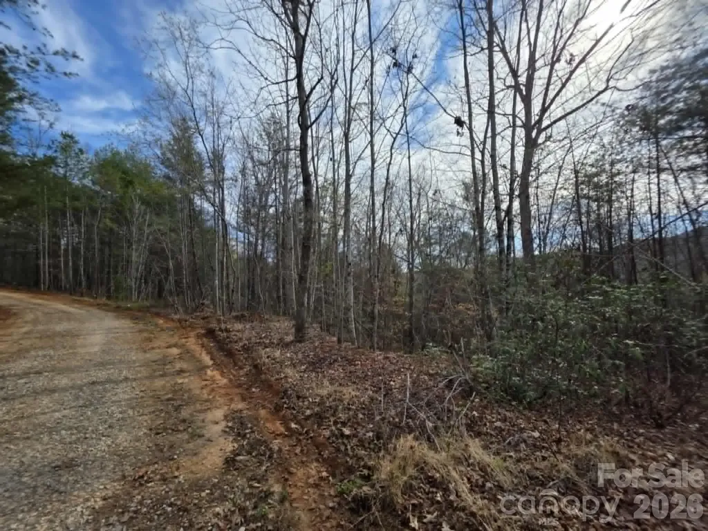 Lot 4 Kerlee Lane Old Fort NC 28762