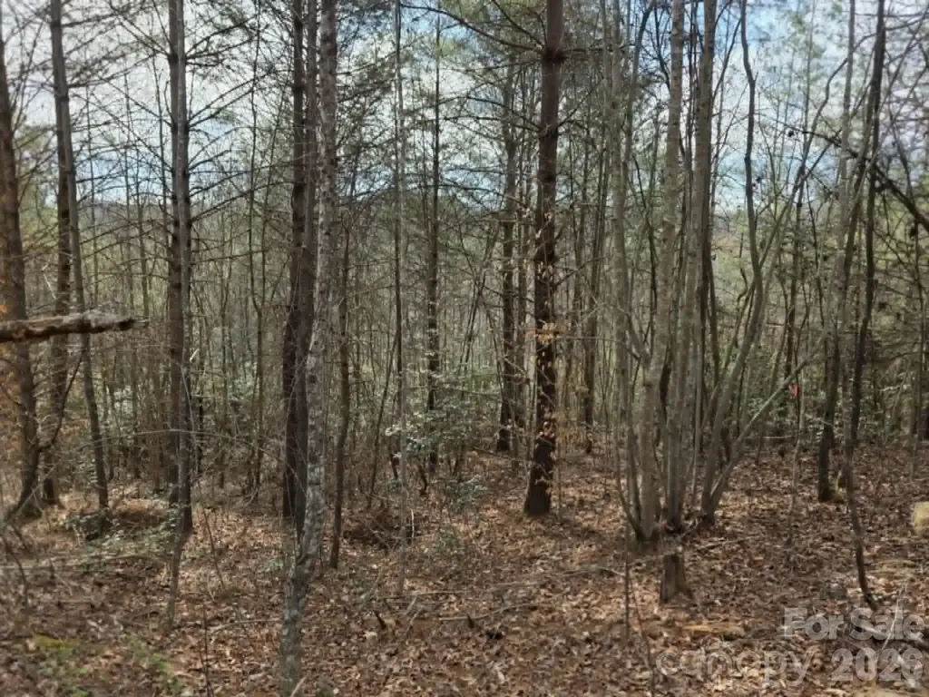 Lot 4 Kerlee Lane Old Fort NC 28762