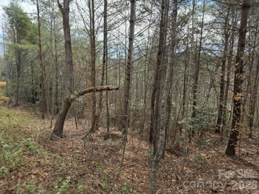 Lot 4 Kerlee Lane Old Fort NC 28762