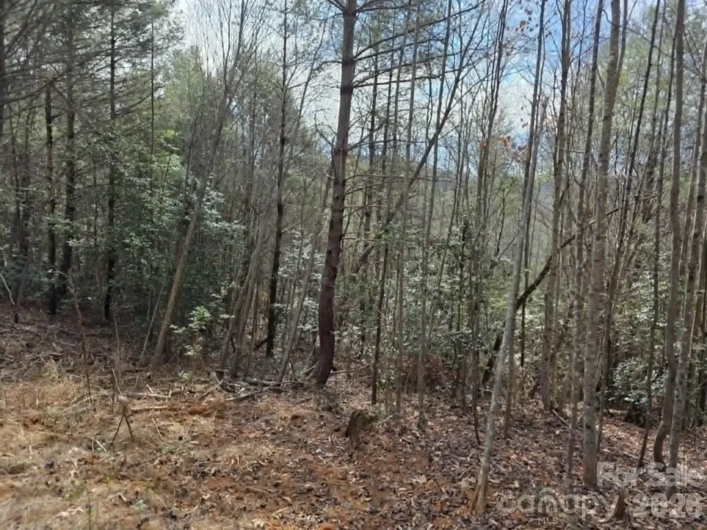 Lot 4 Kerlee Lane Old Fort NC 28762