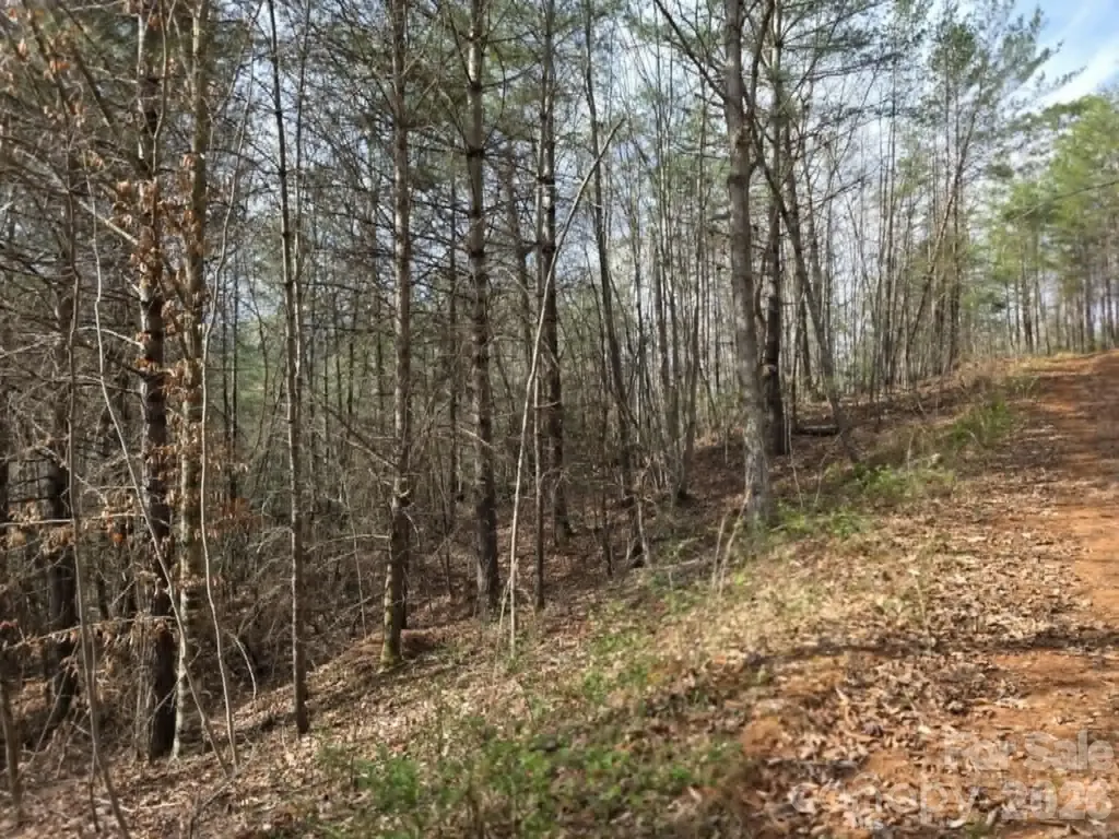 Lot 4 Kerlee Lane Old Fort NC 28762