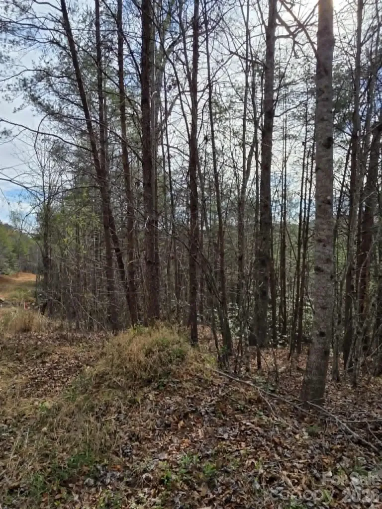 Lot 4 Kerlee Lane Old Fort NC 28762