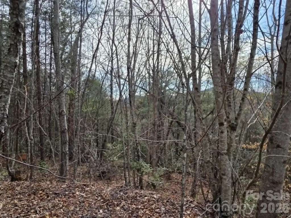 Lot 4 Kerlee Lane Old Fort NC 28762