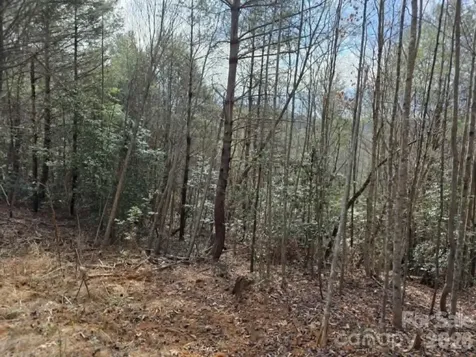 Lot 4 Kerlee Lane Old Fort NC 28762