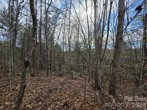 Lot 4 Kerlee Lane Old Fort NC 28762