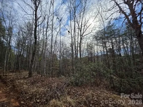 Lot 4 Kerlee Lane Old Fort NC 28762