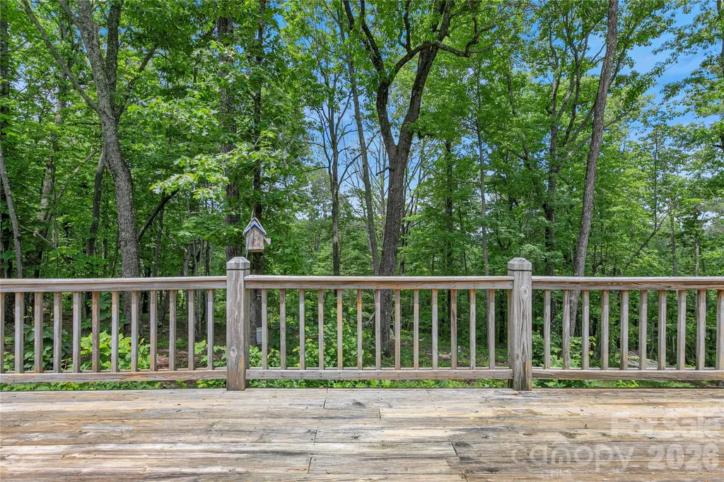154 Chestnut Lane Cedar Mountain NC 28718