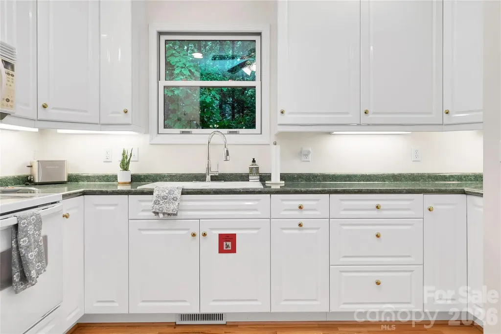 154 Chestnut Lane Cedar Mountain NC 28718