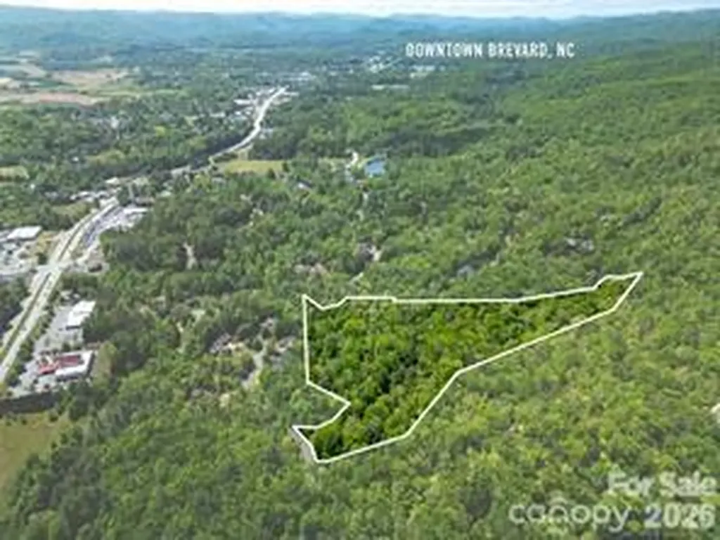 154 Chestnut Lane Cedar Mountain NC 28718