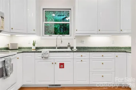 154 Chestnut Lane Cedar Mountain NC 28718