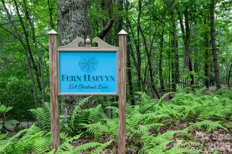 154 Chestnut Lane Cedar Mountain NC 28718