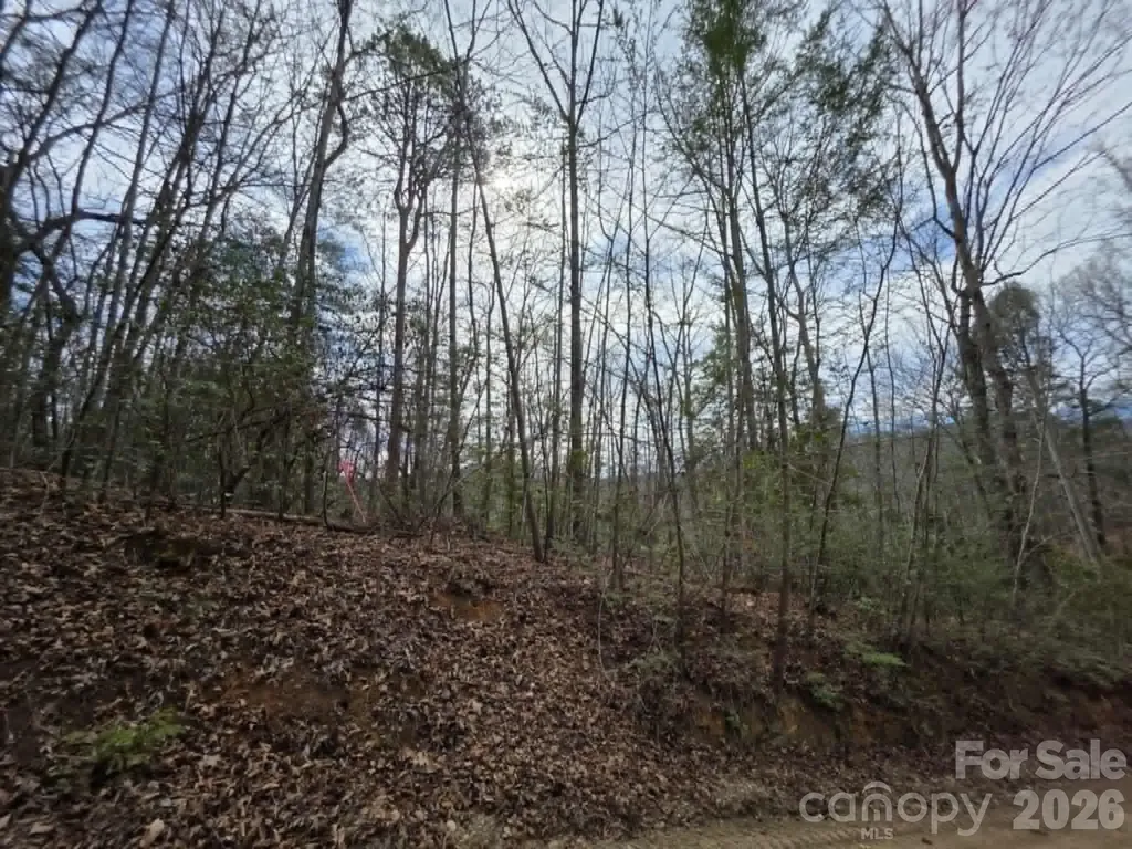 Lot 1 Kerlee Lane Old Fort NC 28762