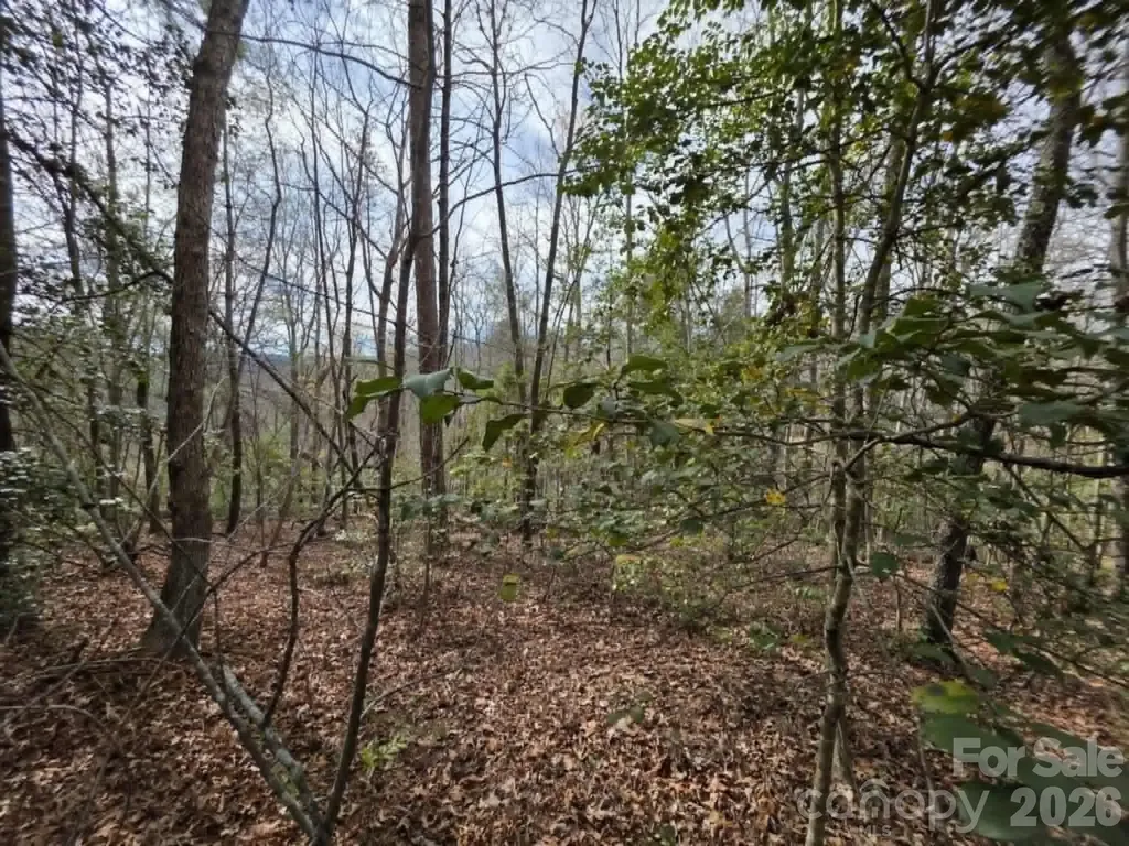 Lot 1 Kerlee Lane Old Fort NC 28762
