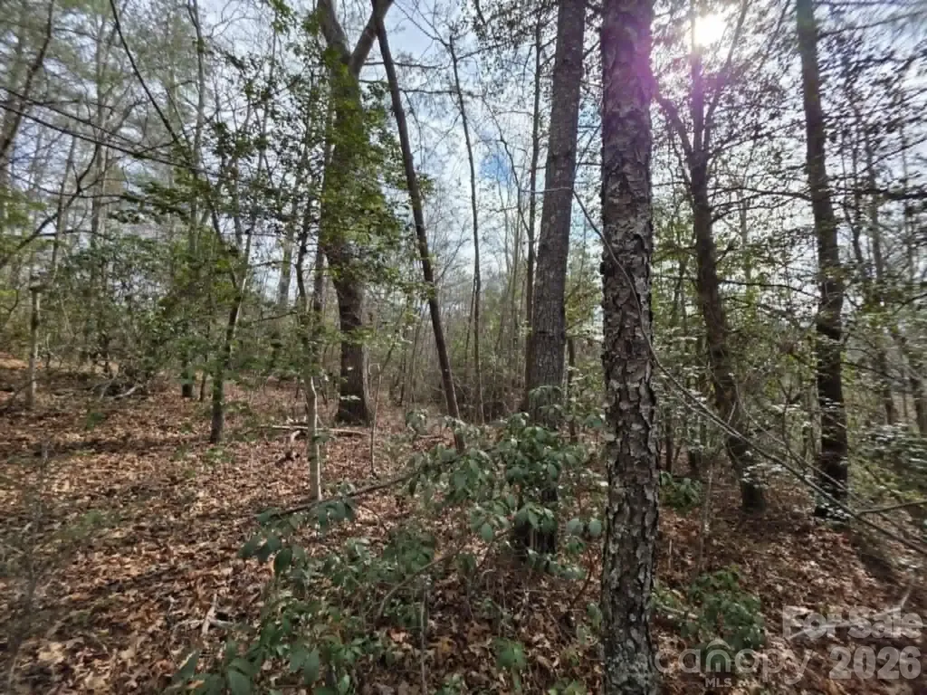 Lot 1 Kerlee Lane Old Fort NC 28762