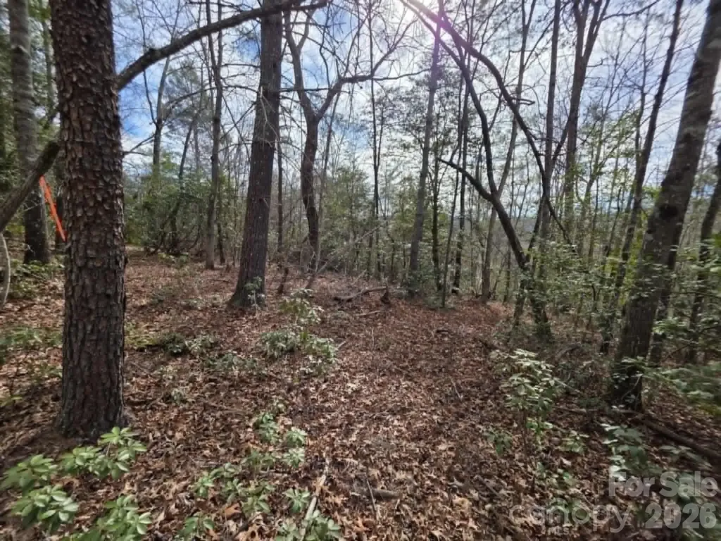 Lot 1 Kerlee Lane Old Fort NC 28762