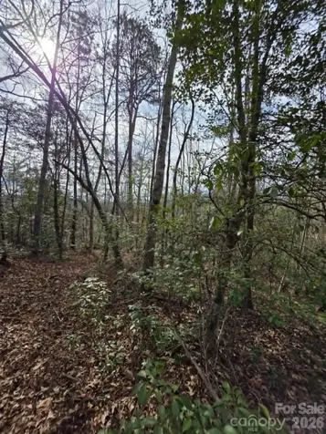 Lot 1 Kerlee Lane Old Fort NC 28762