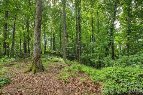 383 Ravenwood Lane Horse Shoe NC 28742