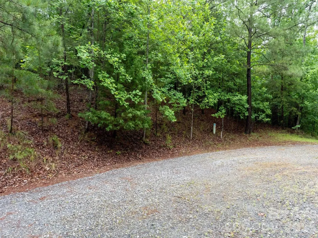 00 Bee Gee Lane Rutherfordton NC 28139