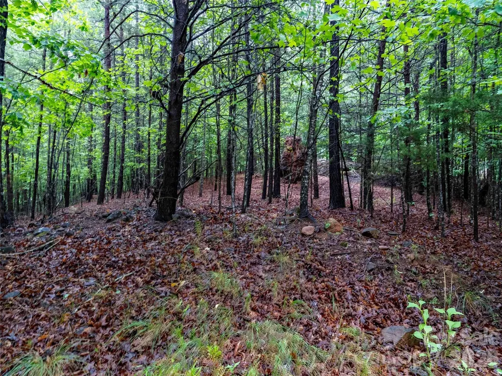 00 Bee Gee Lane Rutherfordton NC 28139