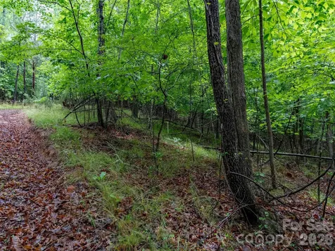 00 Bee Gee Lane Rutherfordton NC 28139