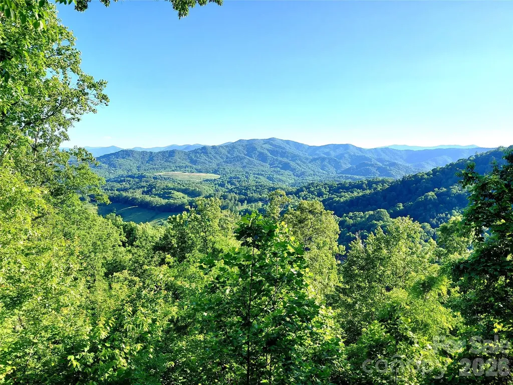 314 Blackberry Lane Clyde NC 28721