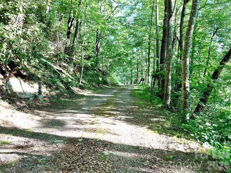 314 Blackberry Lane Clyde NC 28721