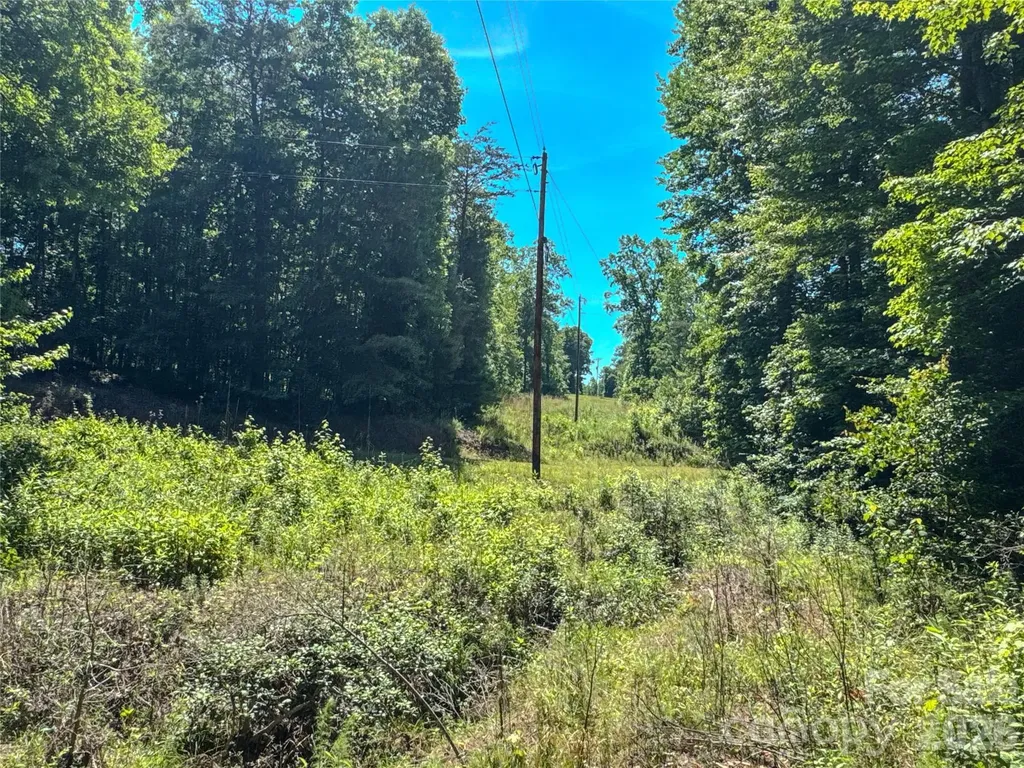 306 Golden Valley Road Casar NC 28020