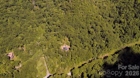 338 Fairview Forest Drive Fairview NC 28730