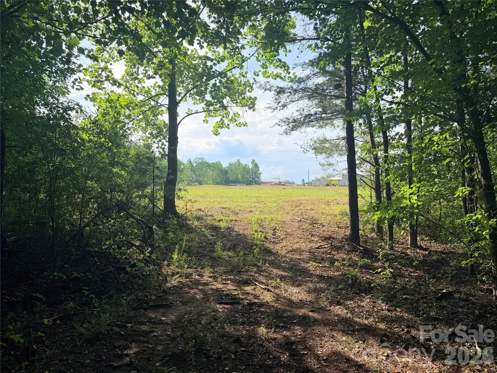 Lot 1 Schenck Farm Road Lawndale NC 28090