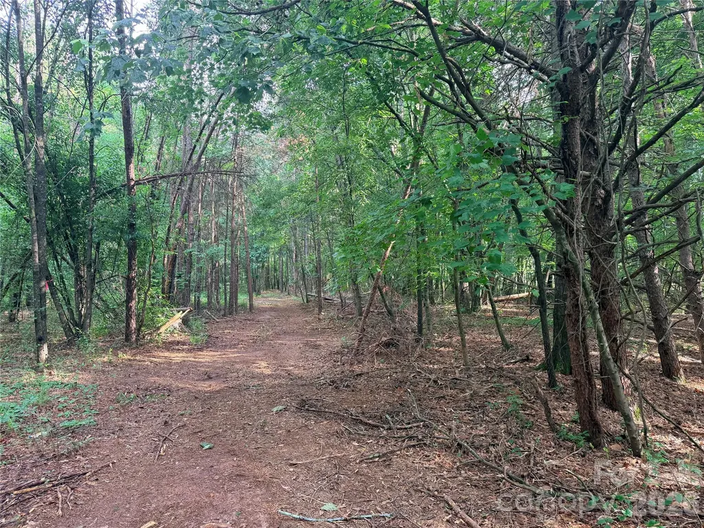 Lot 1 Schenck Farm Road Lawndale NC 28090