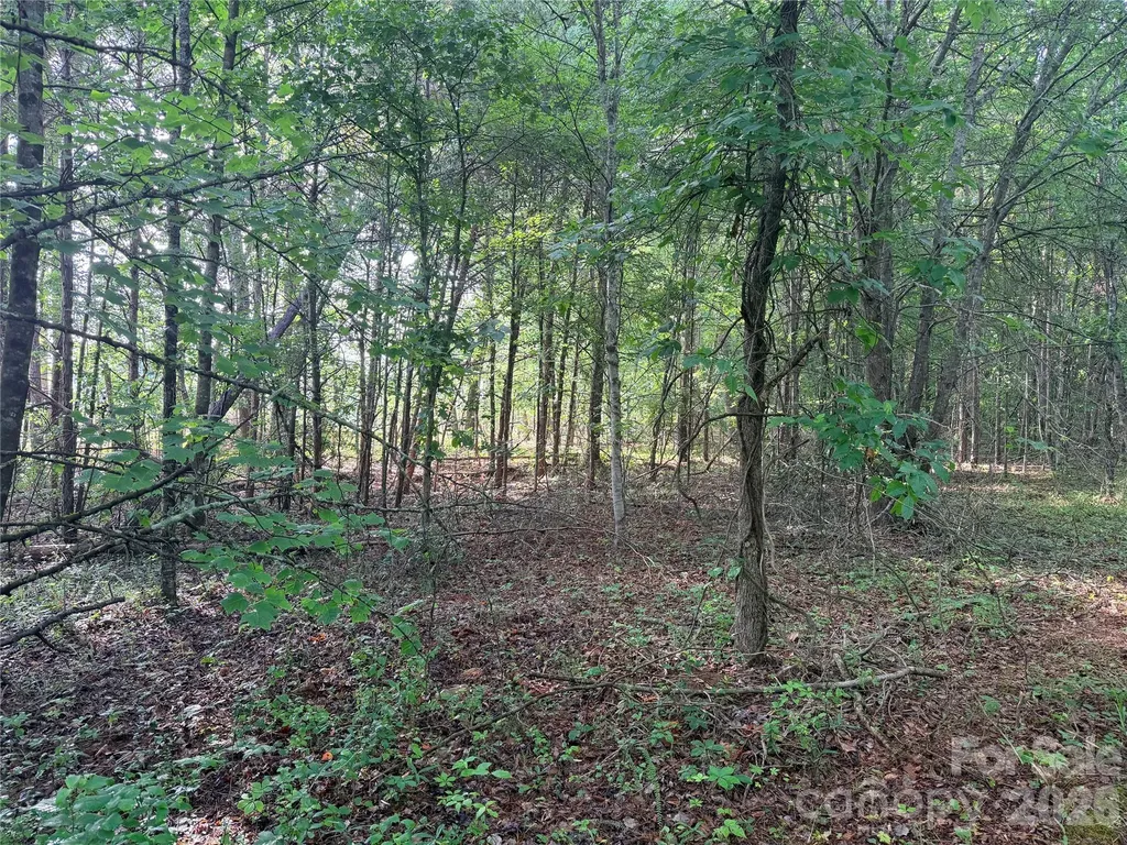 Lot 1 Schenck Farm Road Lawndale NC 28090