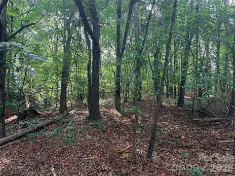 Lot 1 Schenck Farm Road Lawndale NC 28090