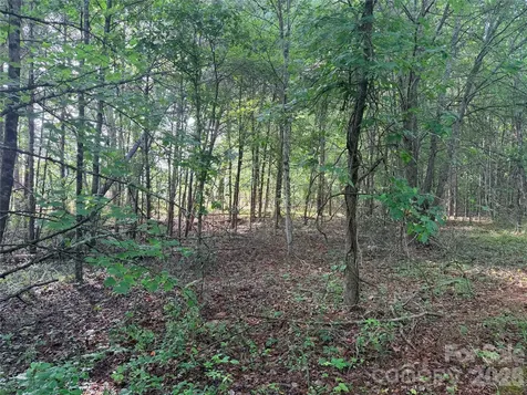 Lot 1 Schenck Farm Road Lawndale NC 28090
