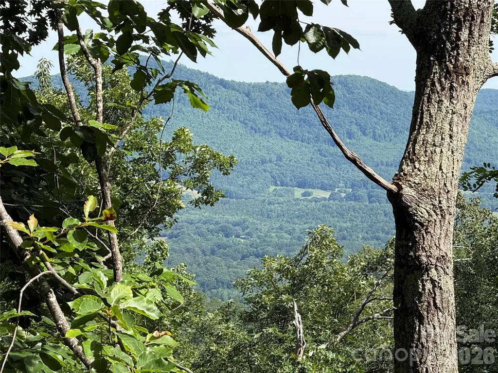 0 Arbra Mountain Way Bostic NC 28018