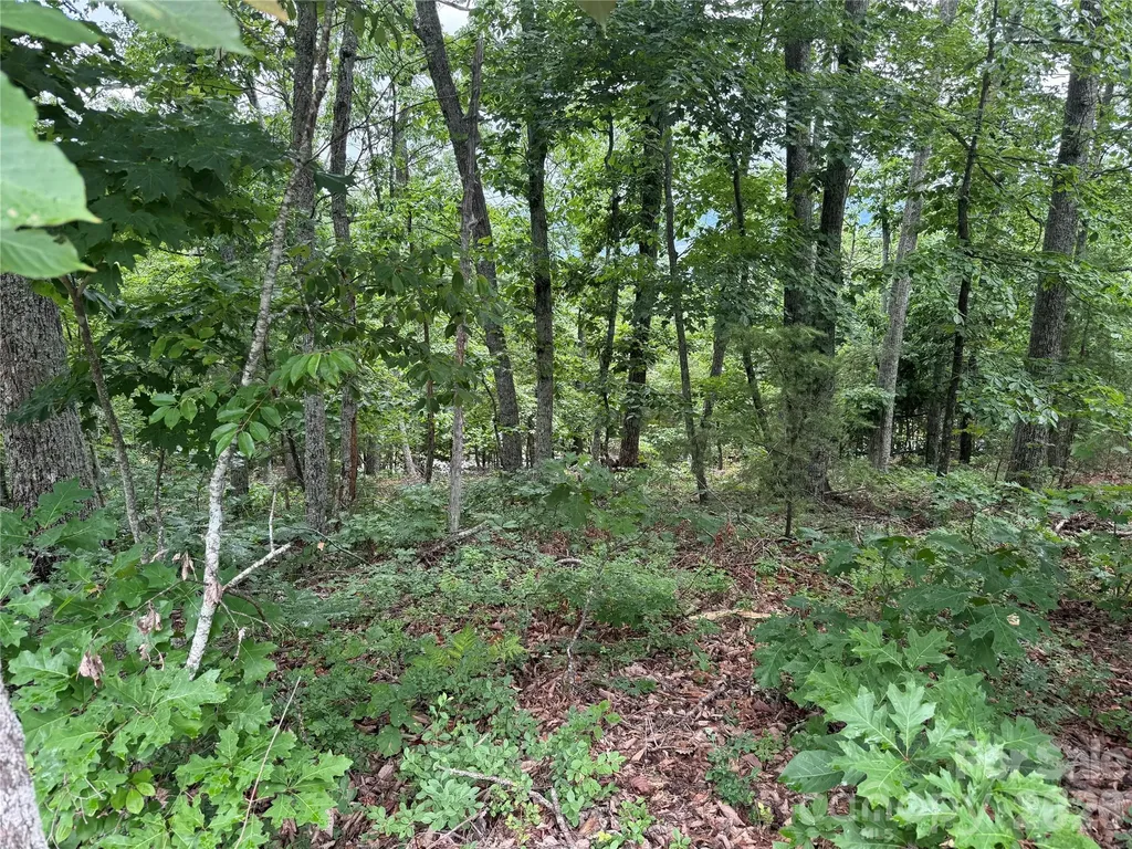 0 Arbra Mountain Way Bostic NC 28018