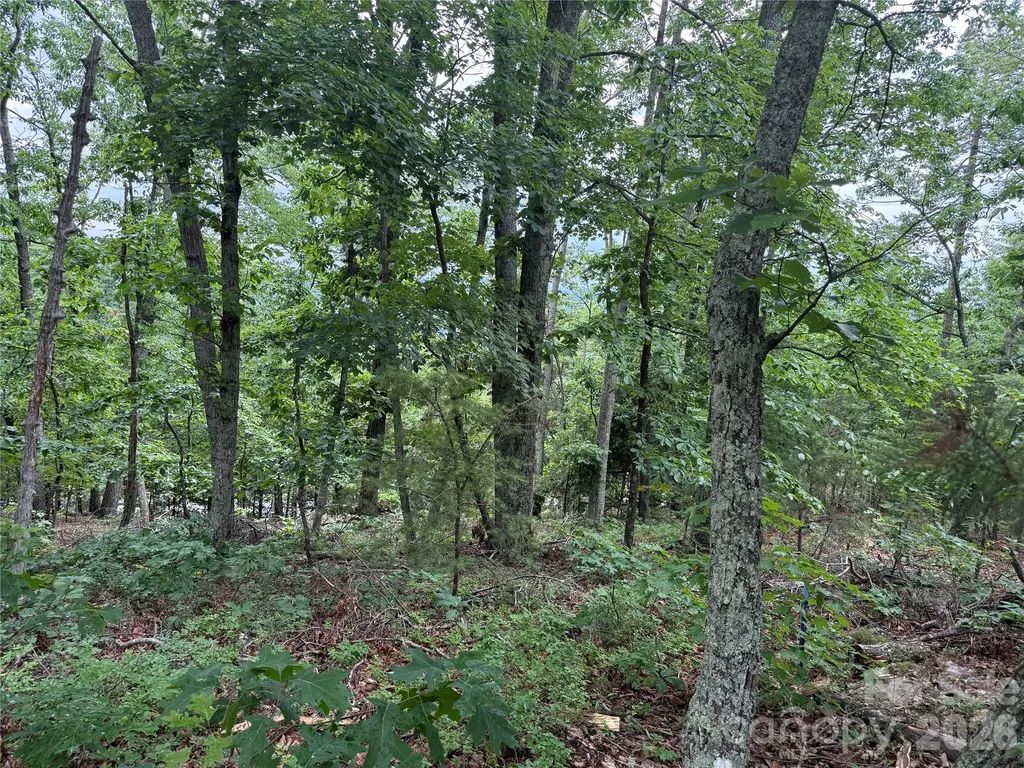 0 Arbra Mountain Way Bostic NC 28018