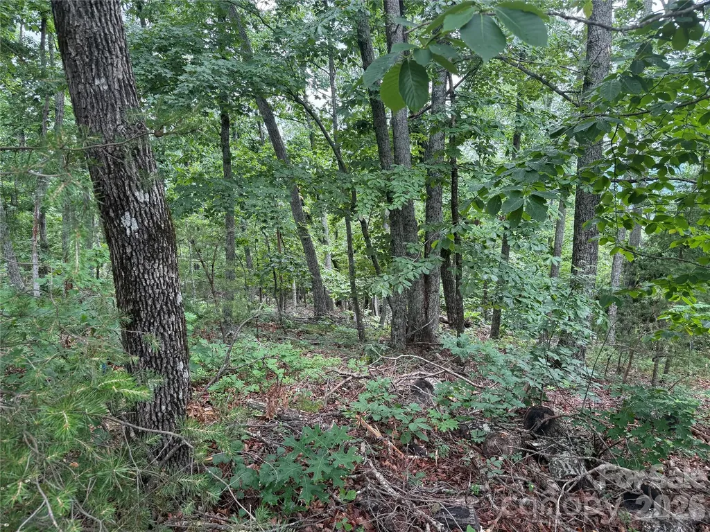 0 Arbra Mountain Way Bostic NC 28018