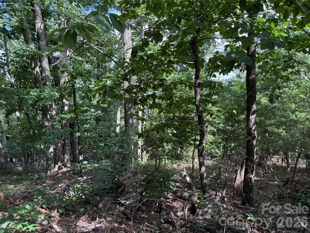 0 Arbra Mountain Way Bostic NC 28018