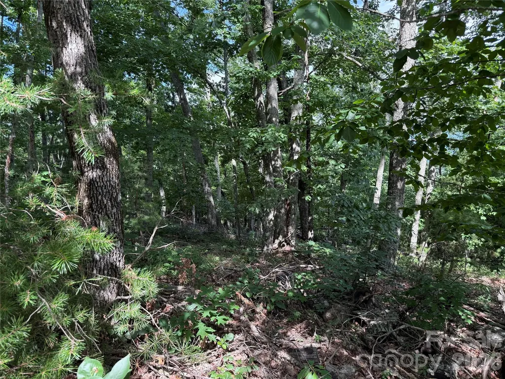 0 Arbra Mountain Way Bostic NC 28018