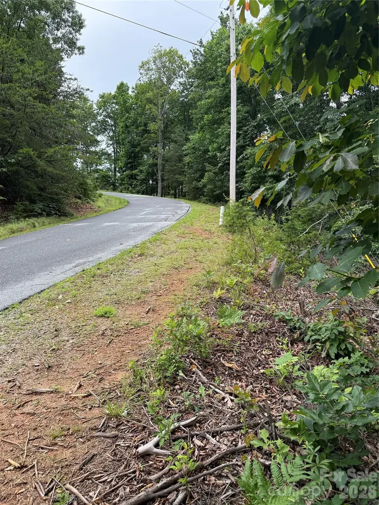 0 Arbra Mountain Way Bostic NC 28018