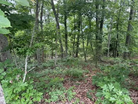 0 Arbra Mountain Way Bostic NC 28018