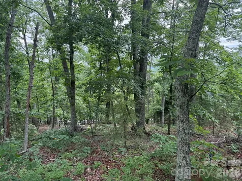0 Arbra Mountain Way Bostic NC 28018