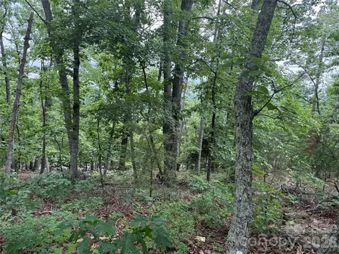 0 Arbra Mountain Way Bostic NC 28018