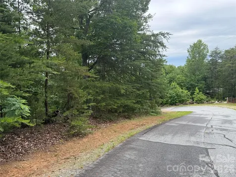 0 Arbra Mountain Way Bostic NC 28018