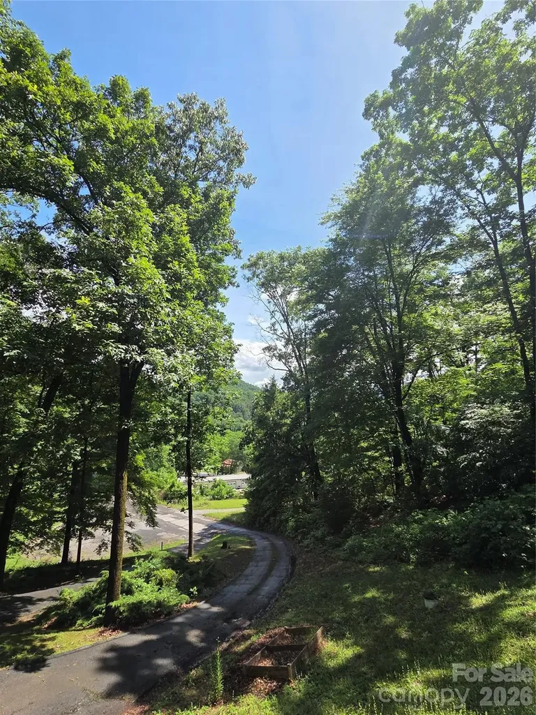 165 Mount Eire Drive Sylva NC 28779