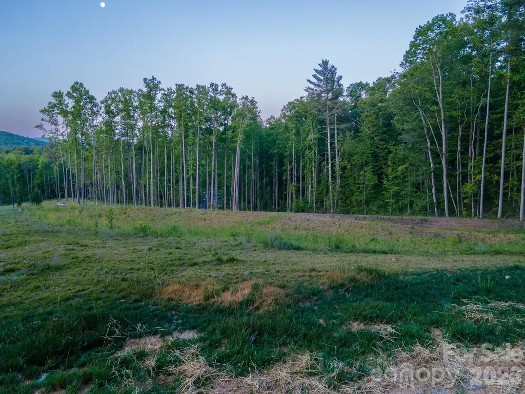444 Irvine Drive Fairview NC 28730