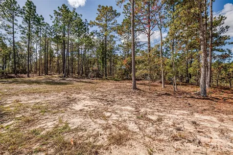 8684 Teals Mill Road Cheraw SC 29520