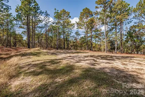 8684 Teals Mill Road Cheraw SC 29520